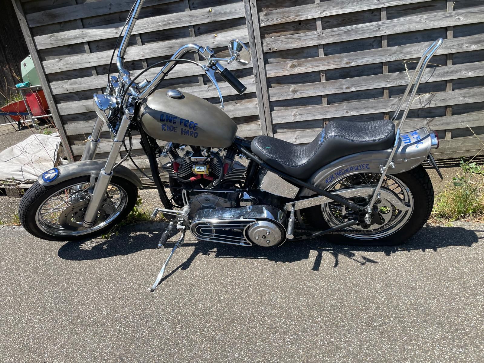 King&Quinn Sattel, Sitzfläche Krokodil-Kunstleder, Schriftzug unterlegt in blau, Biese und Stickerei in gold, passend zu Teile am Motorrad